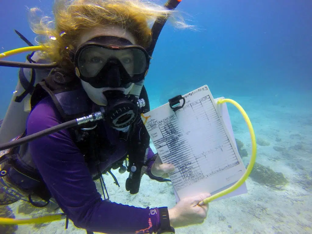 crystaldive.com marine conservation koh tao eco courses