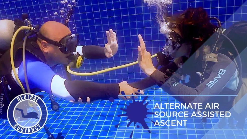 idckohtao.com-divemaster-skills-neutrally-buoyant-Alternate-Air-Source-Assisted-Ascent-2