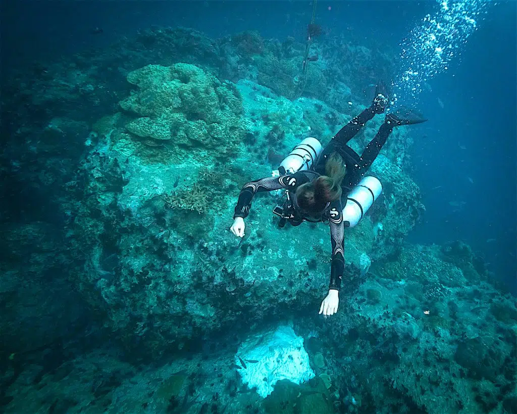 idckohtao.com padi course director