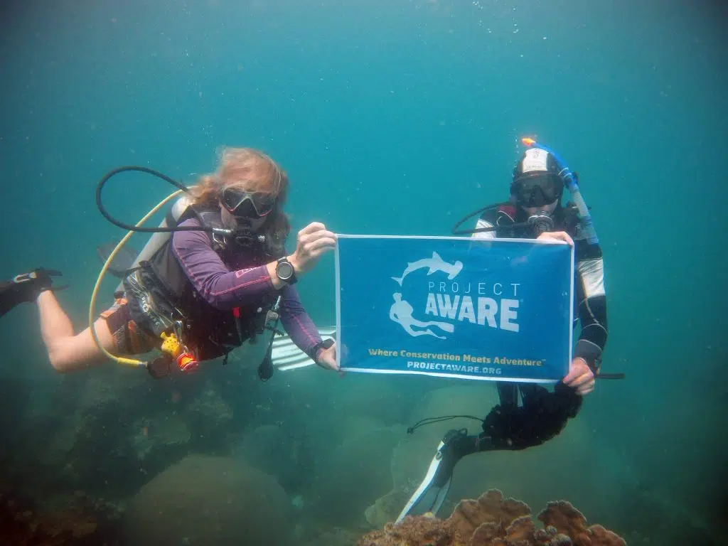 idckohtao.com padi instructor course thailand project aware 