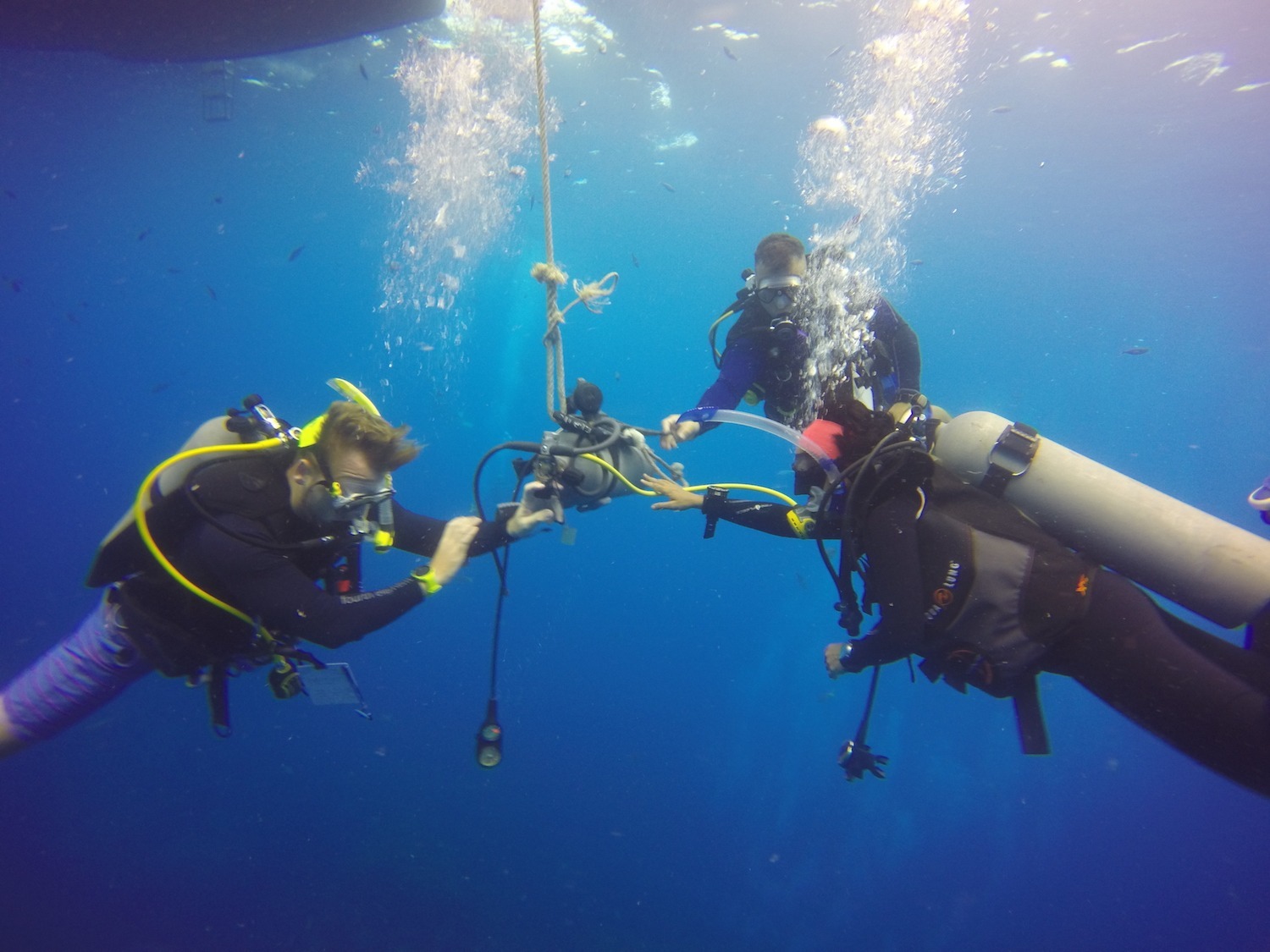 8 Best Reasons to become a Dive Instructor and Team Teach