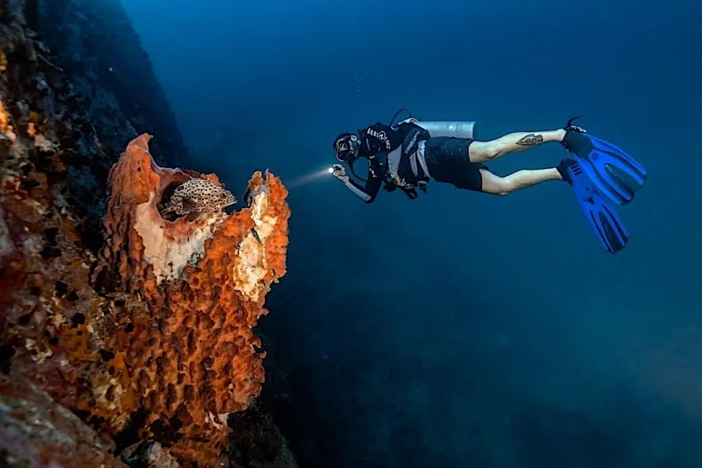 Night Diver Instructor Specialty Course in Koh Tao