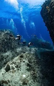 scuba diving internships in thailand