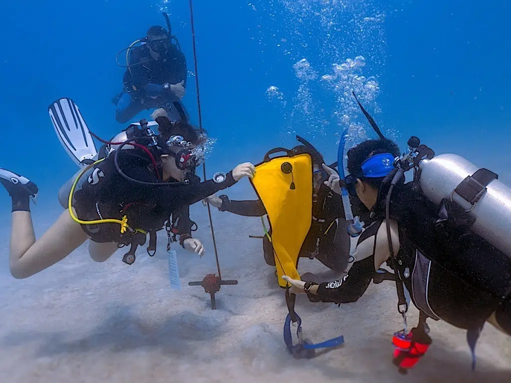 Search & Recovery Instructor Specialty course in Thailand