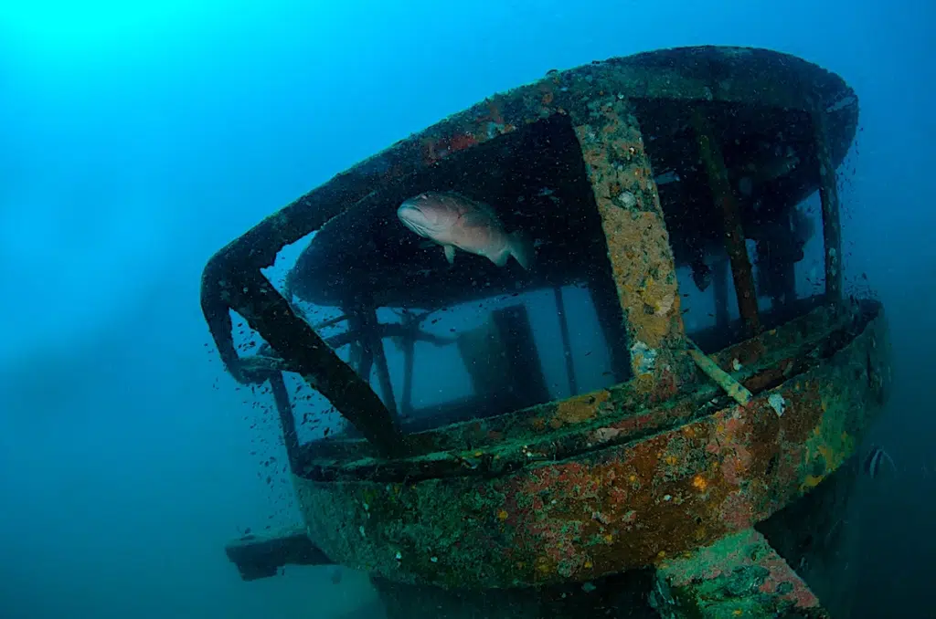 Become a PADI Wreck Diver on Koh Tao in Thailand