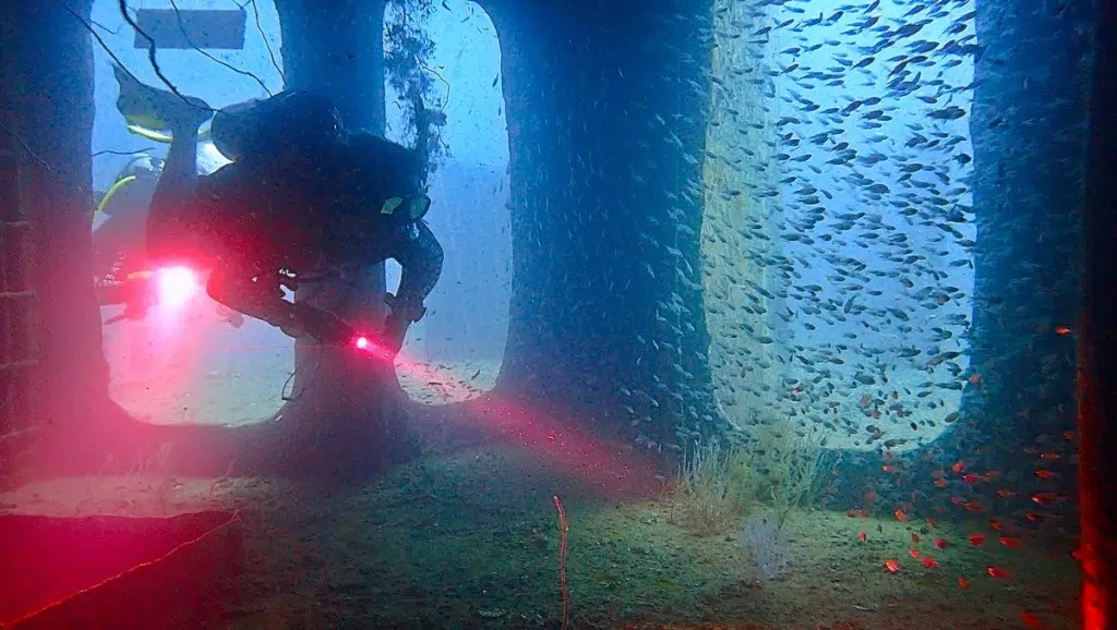 PADI Wreck diver specialty course on Koh Tao in Thailand