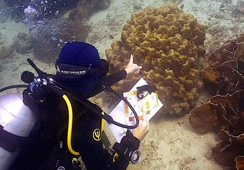 Marine Conservation Education for PADI Divemasters