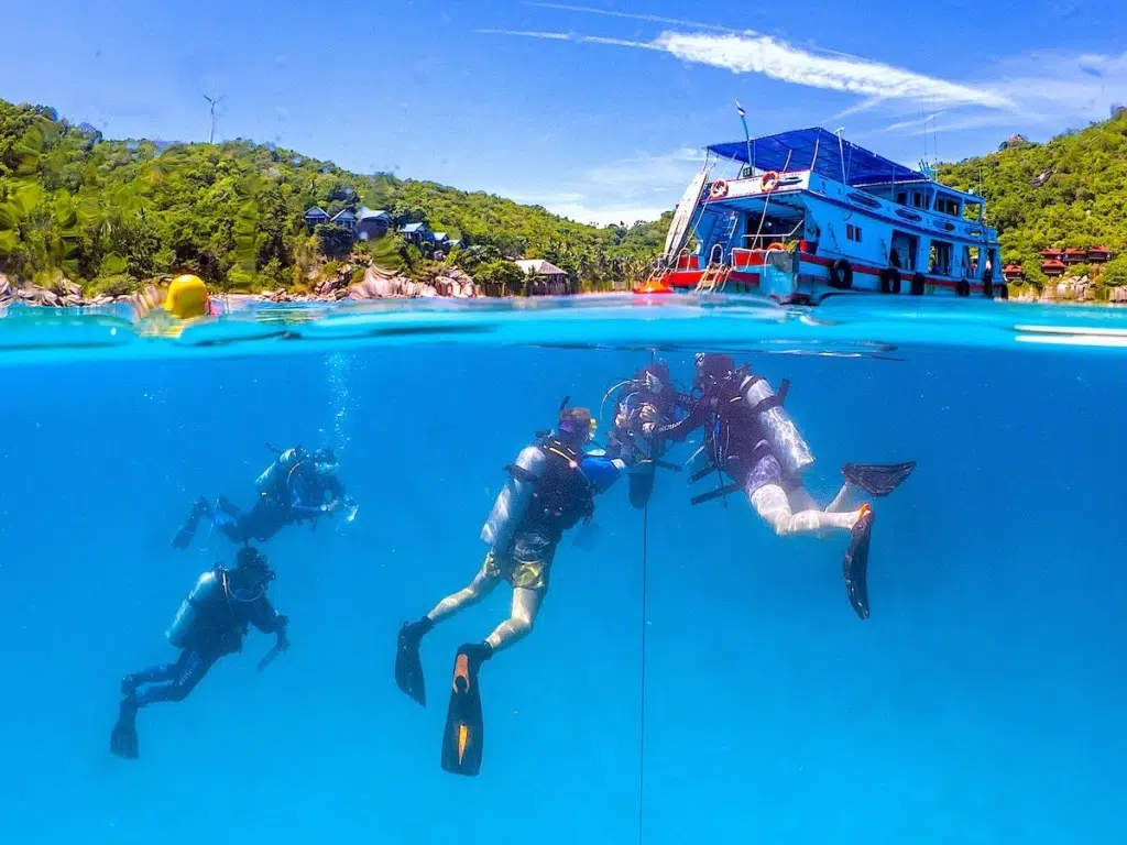 Learning New Skills as a PADI Divemaster in Koh Tao