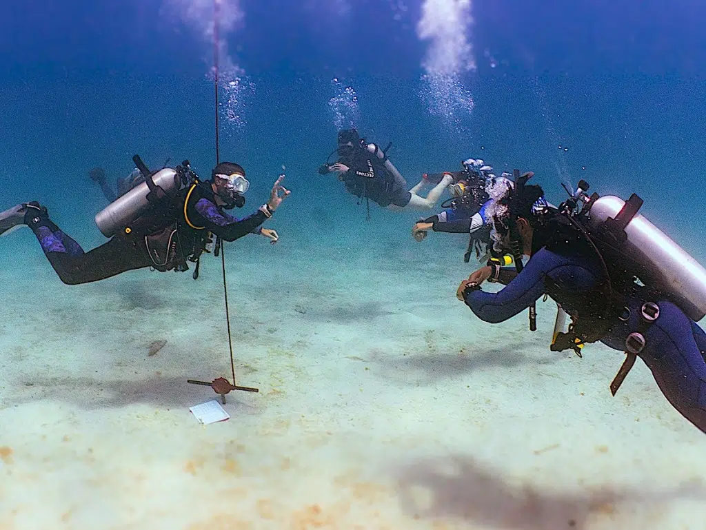 Open Water Workshops for PADI Divemasters