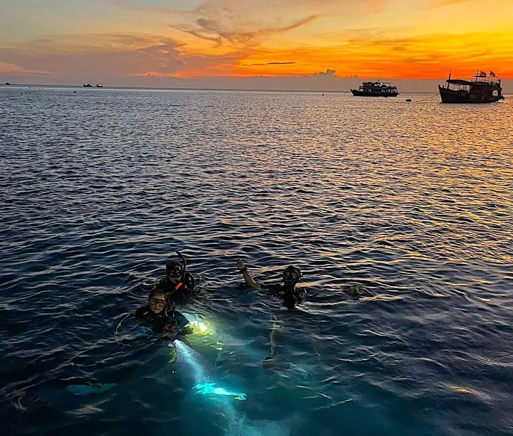 Scuba Diving at Night  PADI Night Diver course