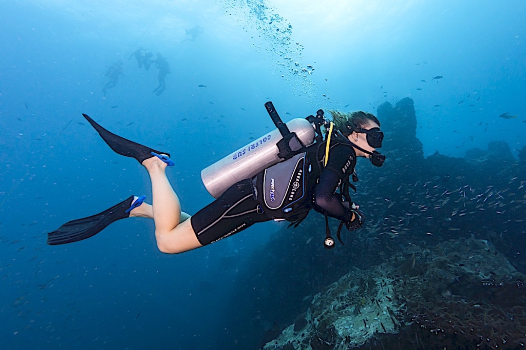 Explore Koh Tao Underwater on our PADI Open Water Course 