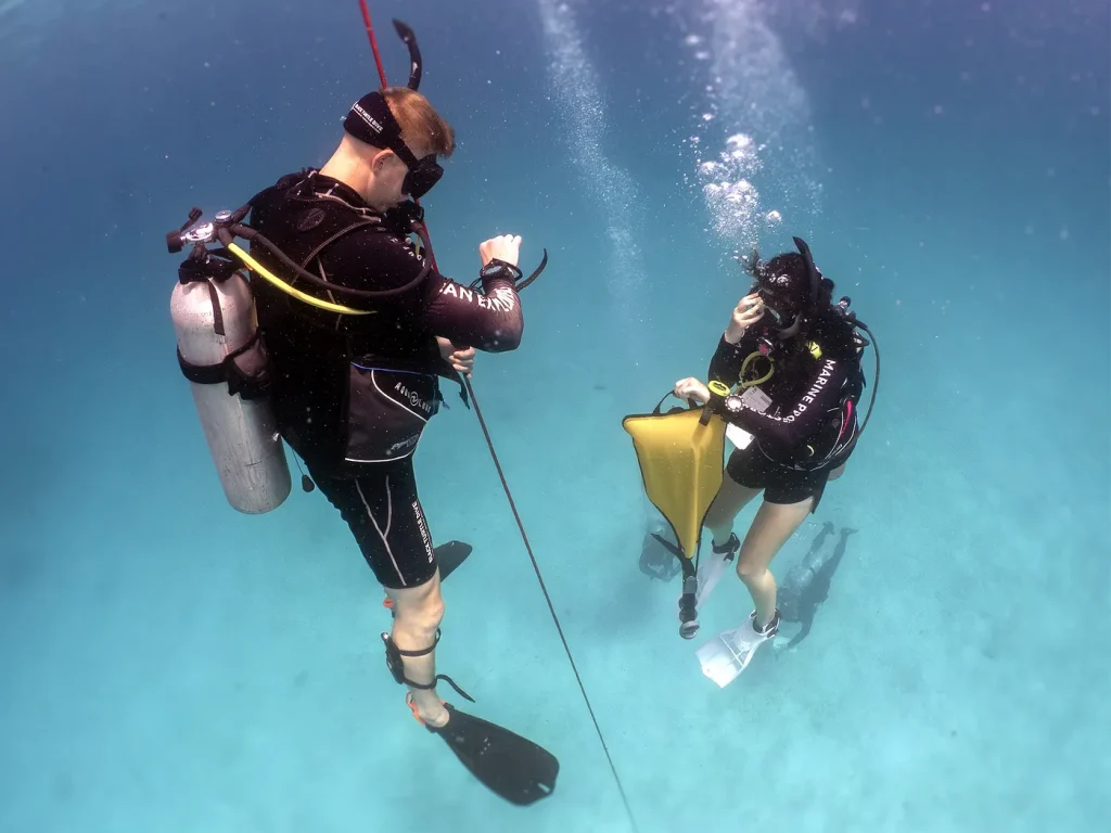 continuing-education-padi-instructors