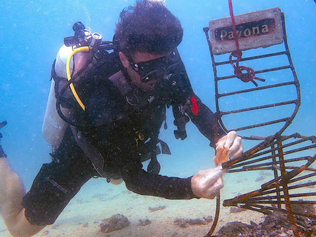 marine-conservation-padi-instructors