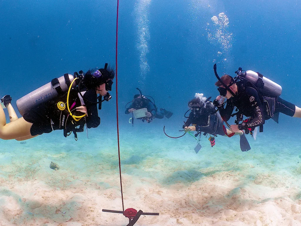 padi-instructor-training-neutral-buoyancy