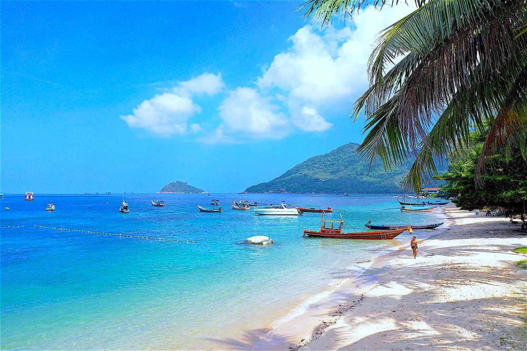 Mae Haad Beach Koh Tao